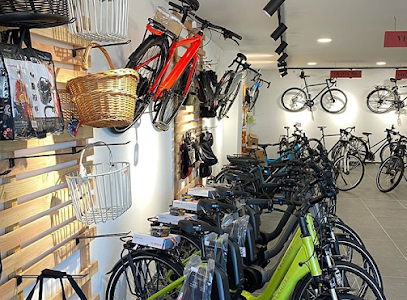 Intérieur magasin de vélos Rochefort